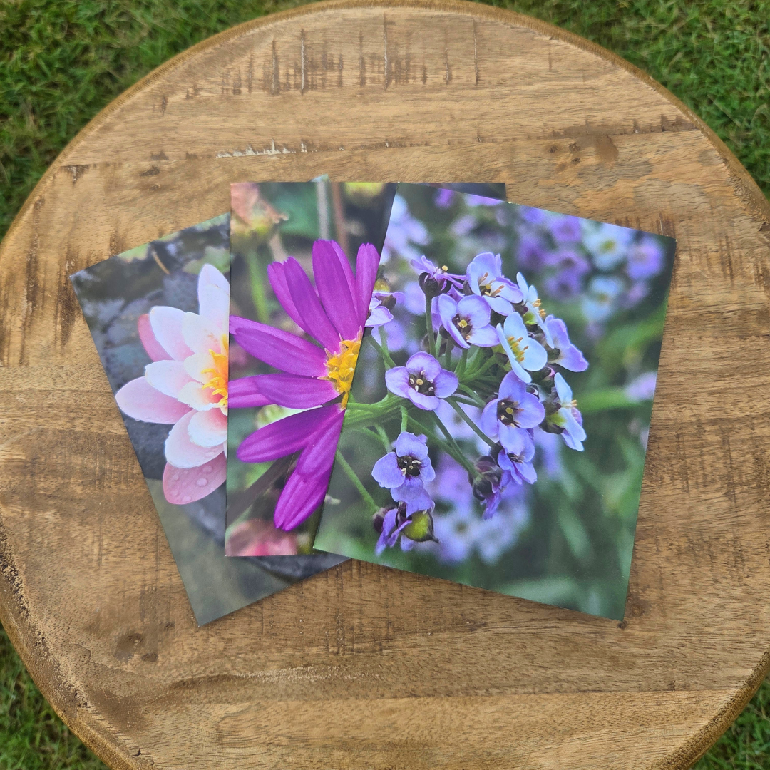 Porta Leather greeting card collection on a wooden chair